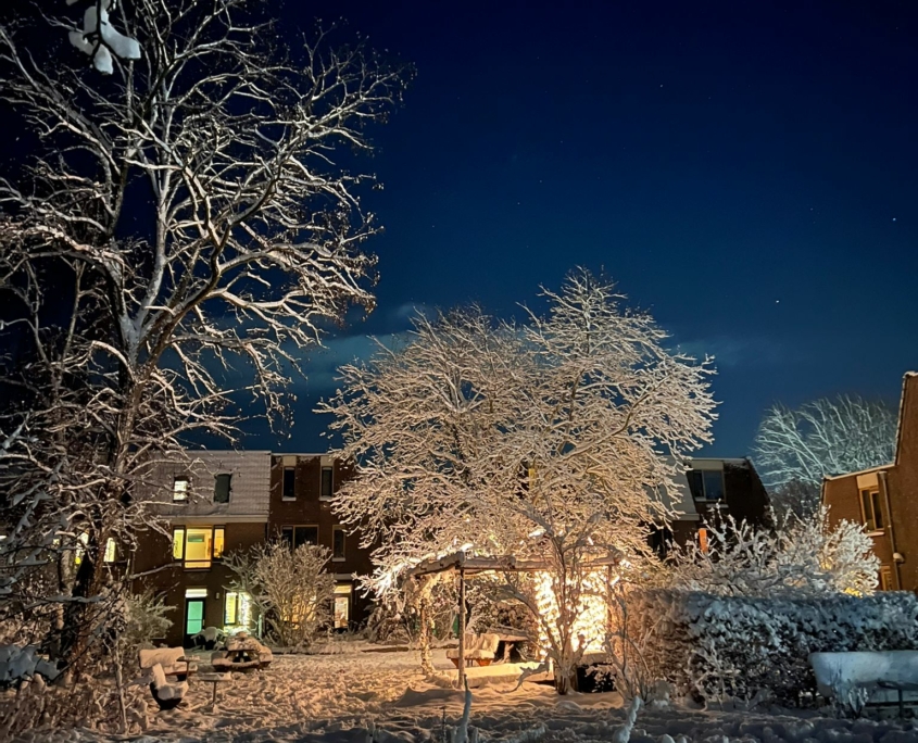 De Tuin met sneeuw